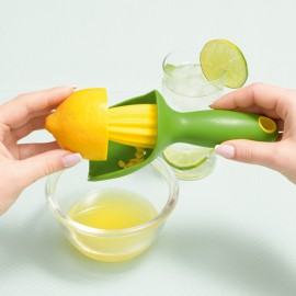Citrusfacsaró